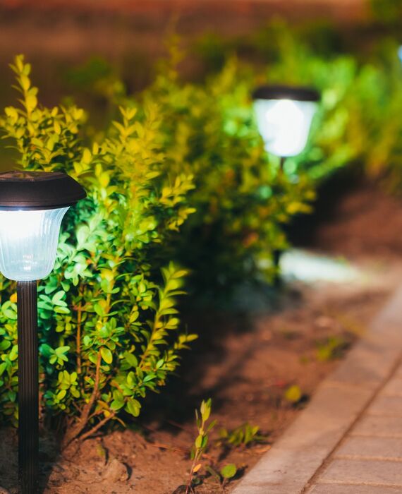 AdobeStock_118978315